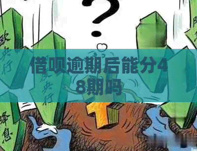 网贷逾期后能分48期吗