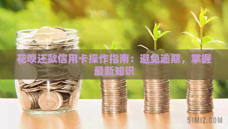 信用卡还款信用卡操作指南：避免逾期，掌握最新知识
