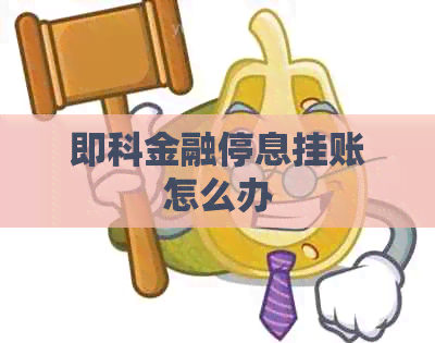 即科金融停息挂账怎么办