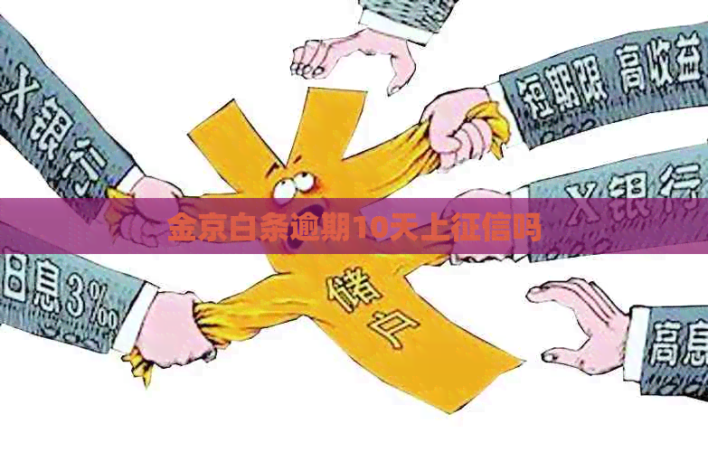金京白条逾期10天上吗
