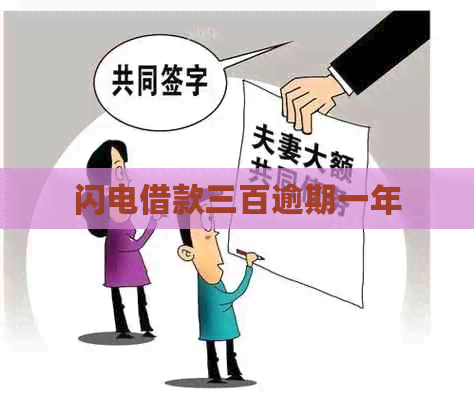 闪电借款三百逾期一年