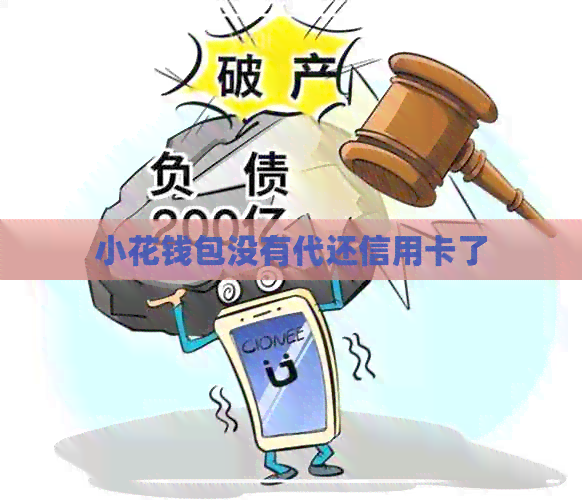 小花钱包没有代还信用卡了