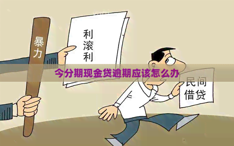 今分期现金贷逾期应该怎么办