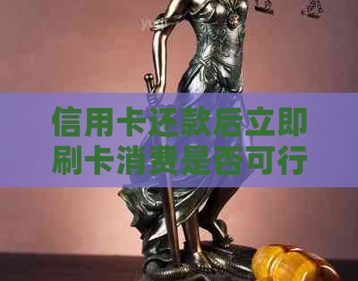 信用卡还款后立即刷卡消费是否可行？