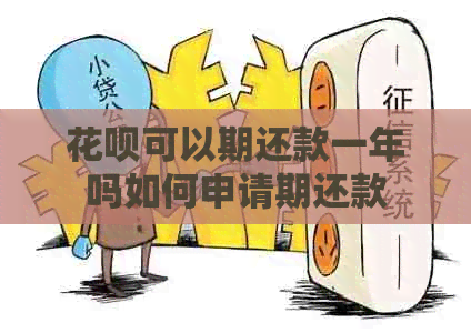 信用卡可以期还款一年吗如何申请期还款
