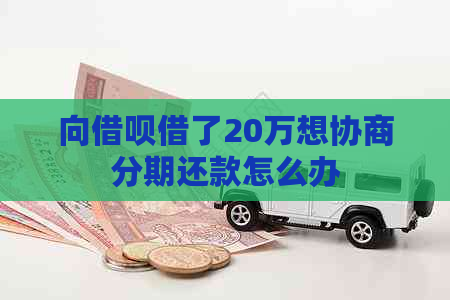 向网贷借了20万想协商分期还款怎么办