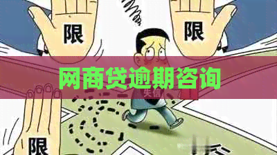 网贷逾期咨询