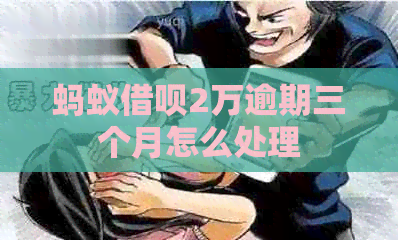 蚂蚁网贷2万逾期三个月怎么处理