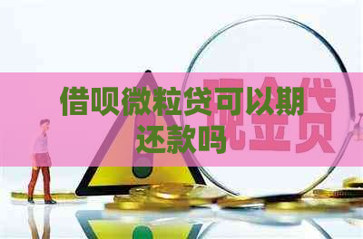 网贷微粒贷可以期还款吗