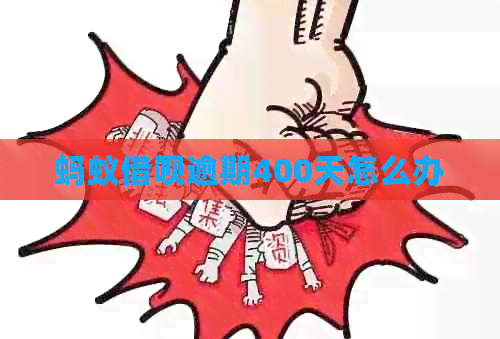 蚂蚁网贷逾期400天怎么办