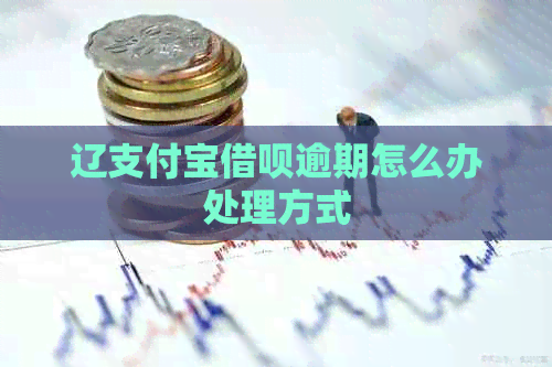 辽支付宝网贷逾期怎么办处理方式