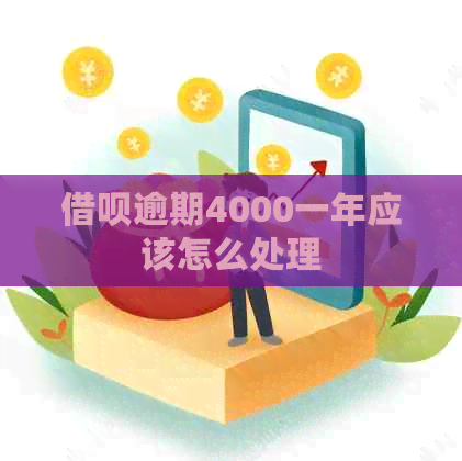 网贷逾期4000一年应该怎么处理 网贷逾期4000一年应该怎么处理