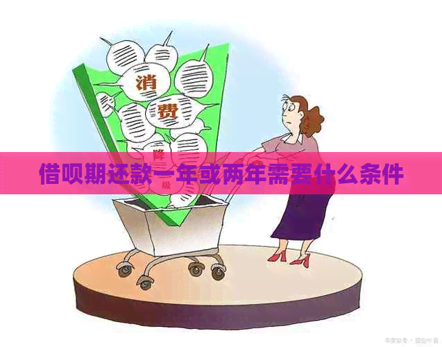 网贷期还款一年或两年需要什么条件