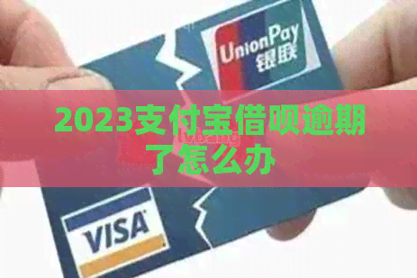 2023支付宝网贷逾期了怎么办