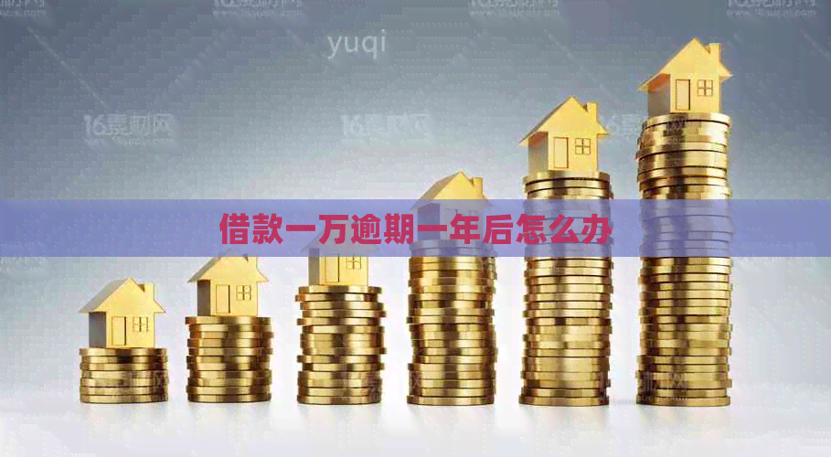 借款一万逾期一年后怎么办 借款一万逾期一年后怎么办