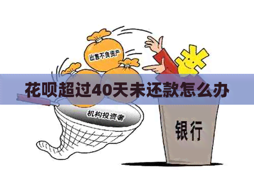 信用卡超过40天未还款怎么办