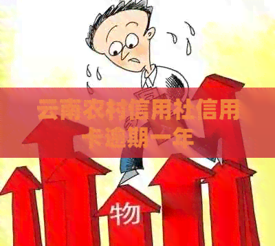银行信用卡村信用社信用卡逾期一年