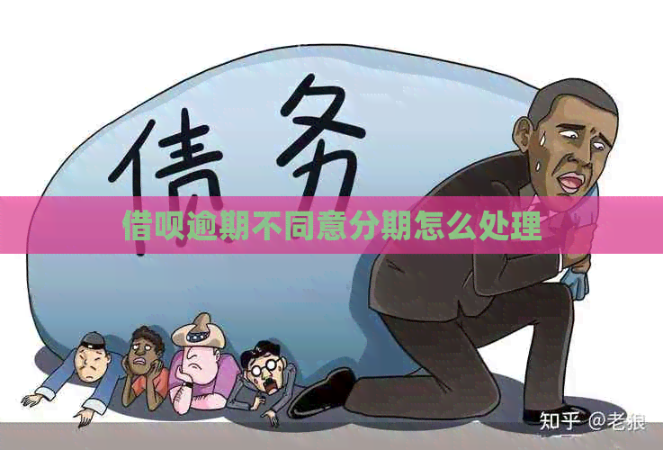 网贷逾期不同意分期怎么处理