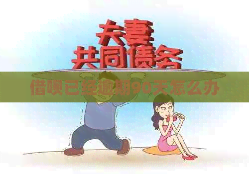 网贷已经逾期90天怎么办