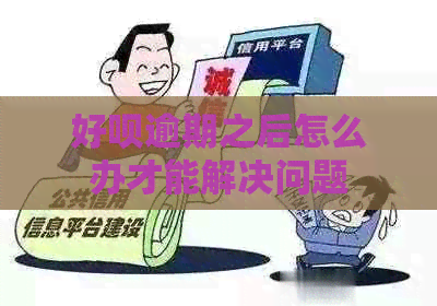 好呗逾期之后怎么办才能解决问题