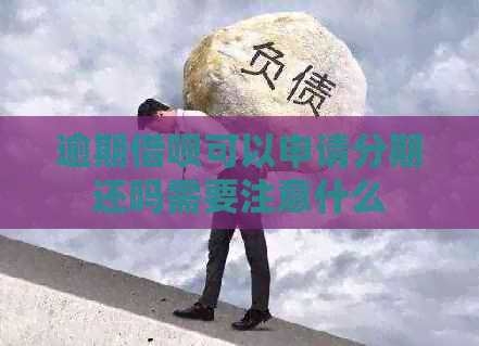 逾期网贷可以申请分期还吗需要注意什么
