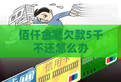 佰仟金融欠款5千不还怎么办