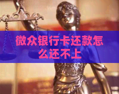 微众银行卡还款怎么还不上