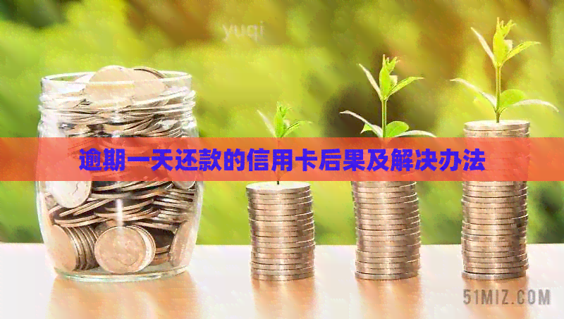 逾期一天还款的信用卡后果及解决办法