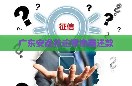 广东安逸花逾期协商还款