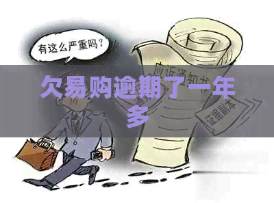 欠易购逾期了一年多
