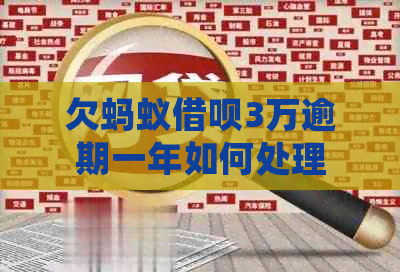 欠蚂蚁网贷3万逾期一年如何处理