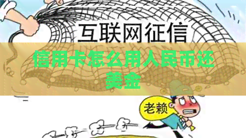 信用卡怎么用人民币还美金