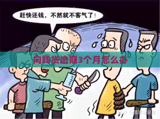 向钱贷逾期3个月怎么办