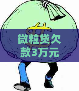 微粒贷欠款3万元会有什么后果