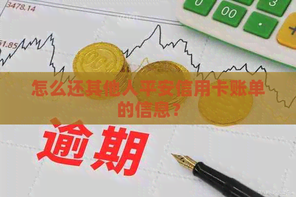 怎么还其他人平安信用卡账单的信息？