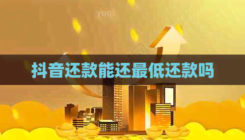 抖音还款能还更低还款吗