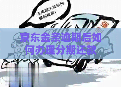 京东金条逾期后如何办理分期还款