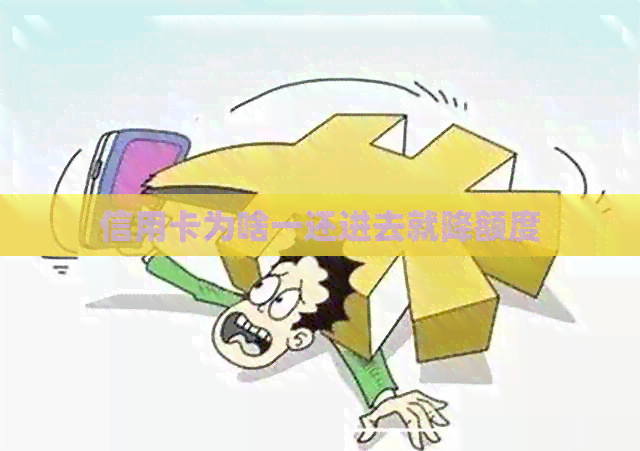 信用卡为啥一还进去就降额度