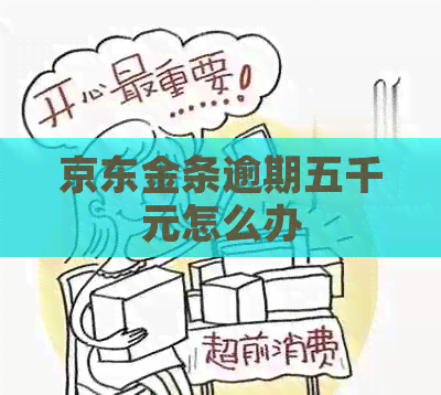 京东金条逾期五千元怎么办 京东金条逾期五千元怎么办