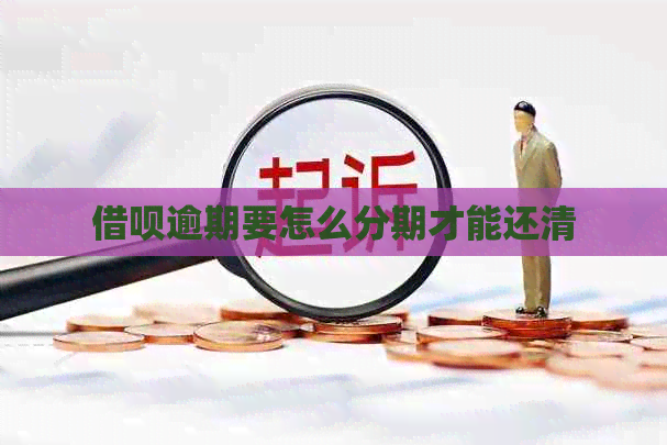 网贷逾期要怎么分期才能还清