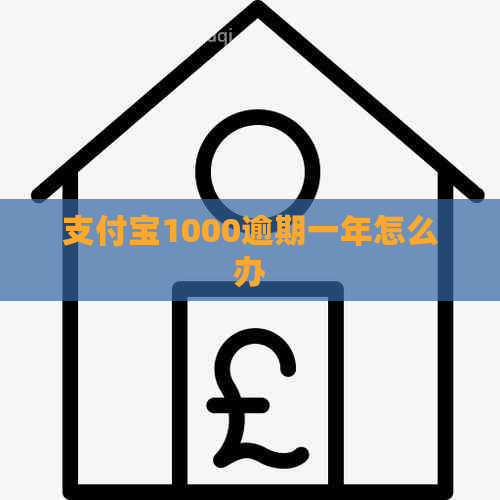 支付宝1000逾期一年怎么办