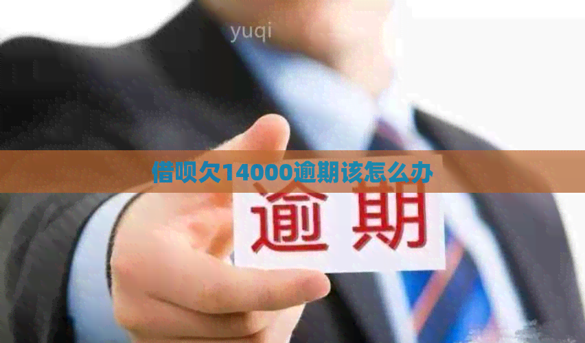 网贷欠14000逾期该怎么办