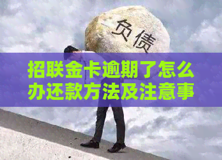 招联金卡逾期了怎么办还款方法及注意事项