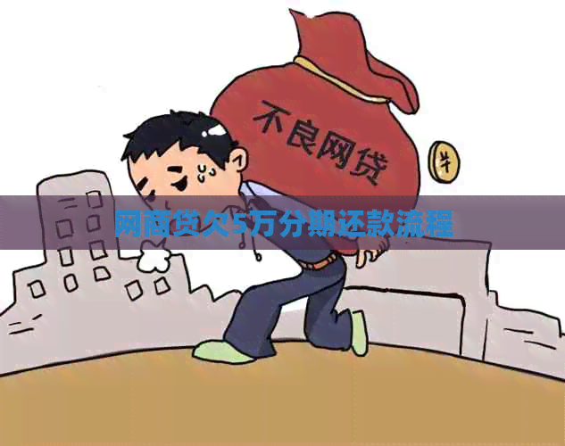 网贷欠5万分期还款流程