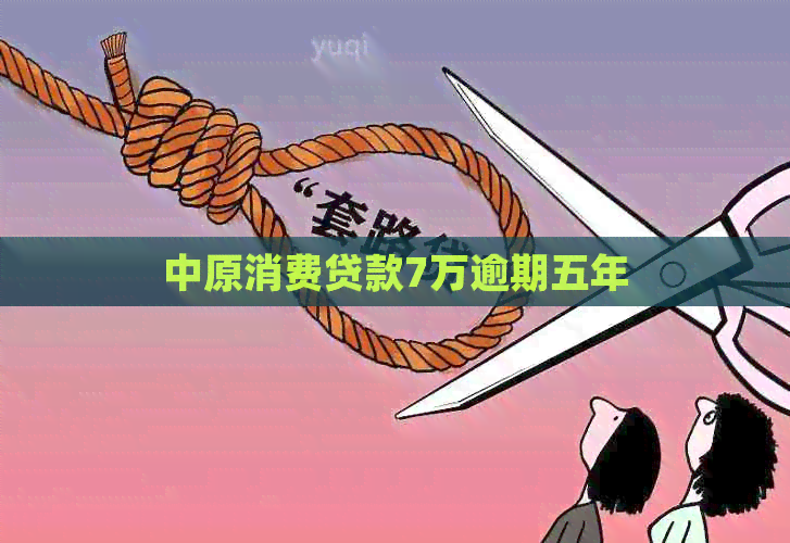 中原消费贷款7万逾期五年