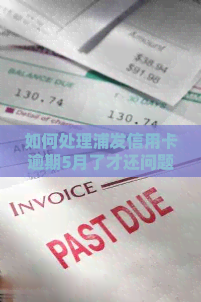 如何处理浦发信用卡逾期5月了才还问题