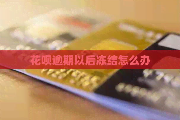 信用卡逾期以后冻结怎么办