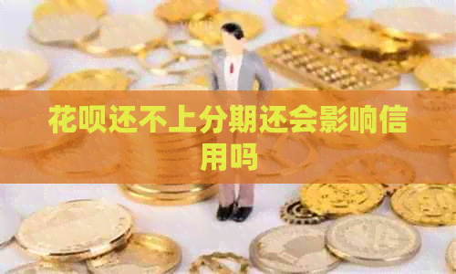 信用卡还不上分期还会影响信用吗