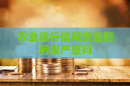 农业银行信用贷逾期后果严重吗
