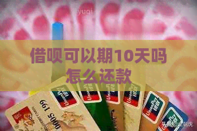 网贷可以期10天吗怎么还款
